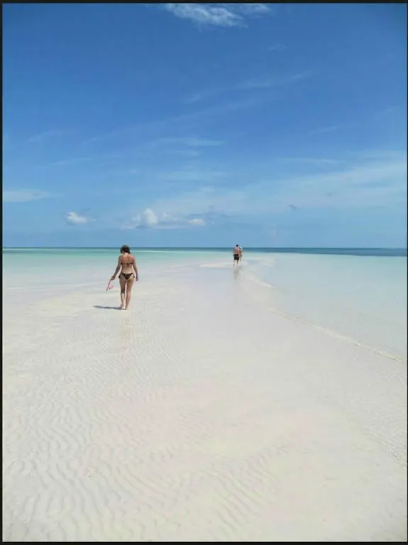 The Blue Inn Family Vacation Rental Freeport 0*,